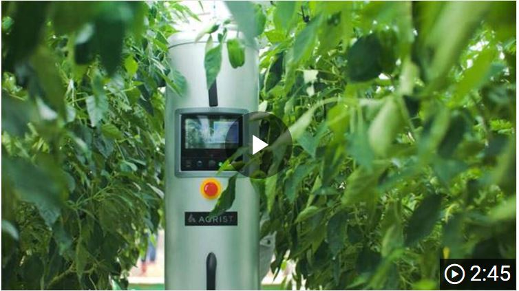 创业短片:AGRIST的自动收割机器人正在解决农业问题