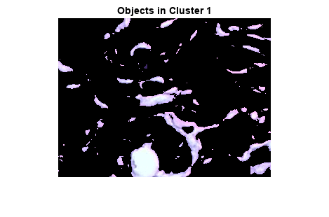 图中包含一个axes对象。Cluster 1中标题为Objects的axis对象包含一个image类型的对象。