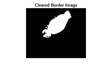 图包含一个轴对象。标题为Cleared Border Image的axes对象包含一个Image类型的对象。