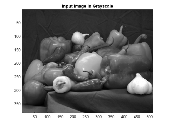 图中包含一个轴对象。标题为Input Image in Grayscale的axis对象包含一个Image类型的对象。