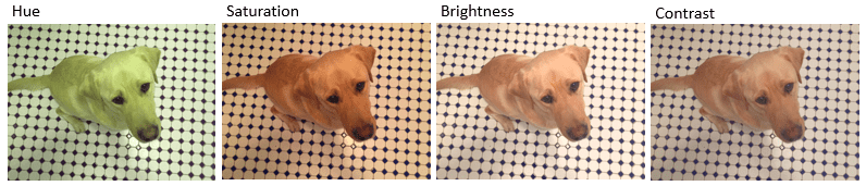 从左到右，图中显示了原始图像，随机调整图像的色调、饱和度、亮度和对比度。