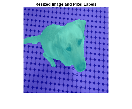 图中包含一个axes对象。标题为Resized Image和Pixel Labels的axes对象包含一个类型为Image的对象。