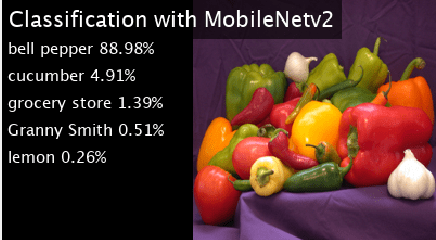MobileNet-v2网络在树莓派上的代码生成与部署