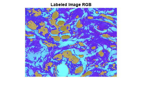 图中包含一个axes对象。标题为labels Image RGB的axes对象包含一个类型为Image的对象。