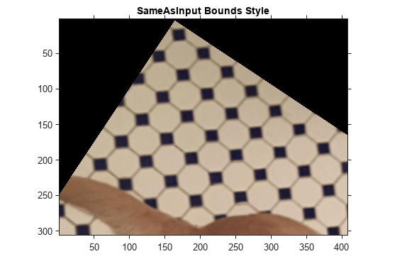 图中包含一个axes对象。标题为SameAsInput Bounds Style的axes对象包含一个类型为image的对象。