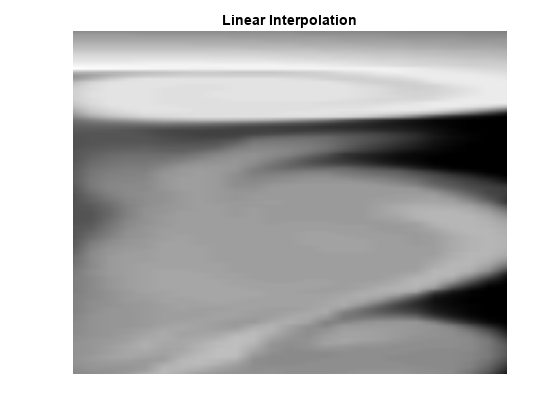 图中包含一个axes对象。标题为Linear Interpolation的axis对象包含一个类型为image的对象。
