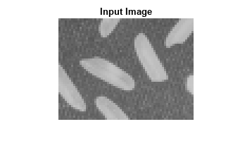 图中包含一个axes对象。标题为Input Image的axes对象包含一个Image类型的对象。