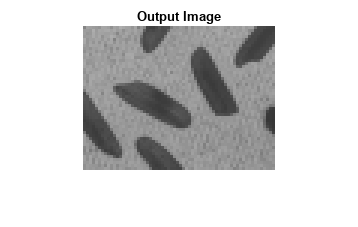 图中包含一个axes对象。标题为Output Image的axes对象包含一个Image类型的对象。