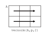 vecnorm(A,p,2)逐行计算