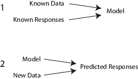 监督学习的步骤。首先，训练模型，然后使用模型来预测反应。