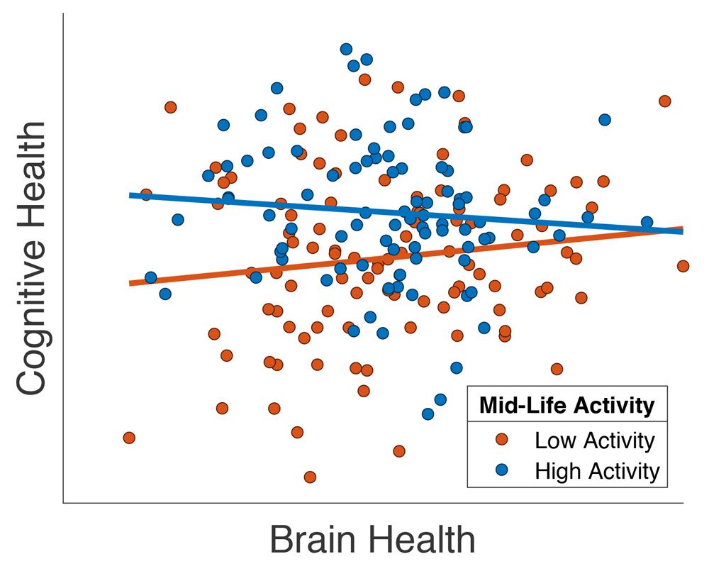 图表显示，如果老年患者报告他们的中年社会活动水平高，他们的大脑健康就会得到改善