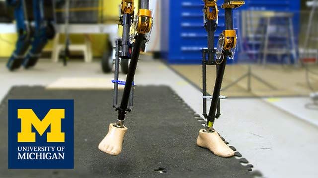 密歇根大学开发基于模型设计的双足机器人控制