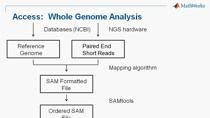 在本次网络研讨会中，您将学习如何使用MATLAB和生物信息学工具箱执行下一代序列(NGS)可视化和分析。一个应用ChIP-Seq的例子被用来说明NGS分析的关键组件，包括